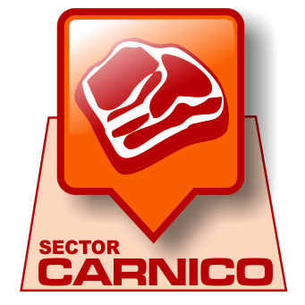 Sistema Técnico De Gestión Integral S.L. 6