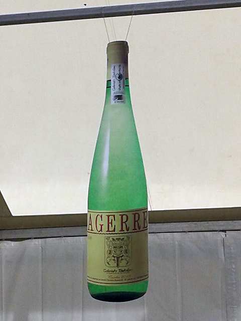 Txakoli Agerre BODEGAS: PRODUCCION DE VINOS Y LICORES