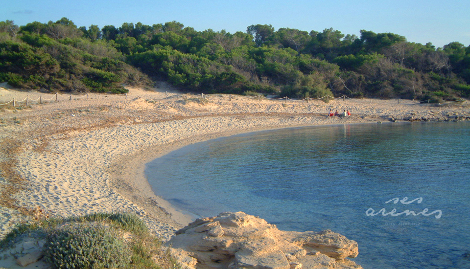 Ses Arenes Finca Agroturisme 3
