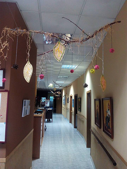 Galería de imágenes