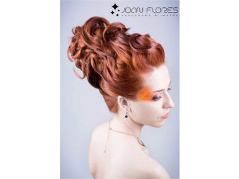 Joan Flores Assessors D´Imatge 2