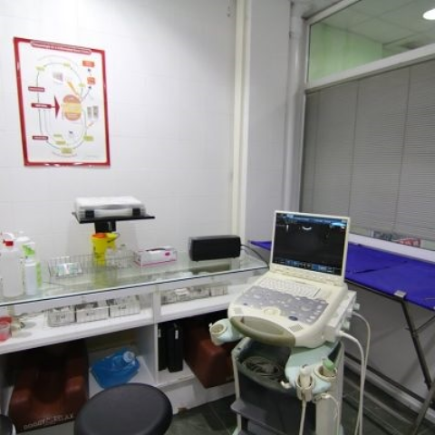 Serveis Veterinaris De Matar&oacute; 3