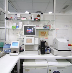 Galería de imágenes