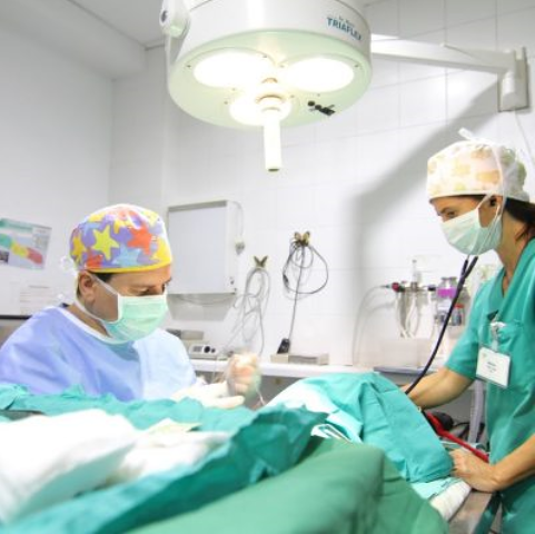 Serveis Veterinaris De Matar&oacute; Mataró