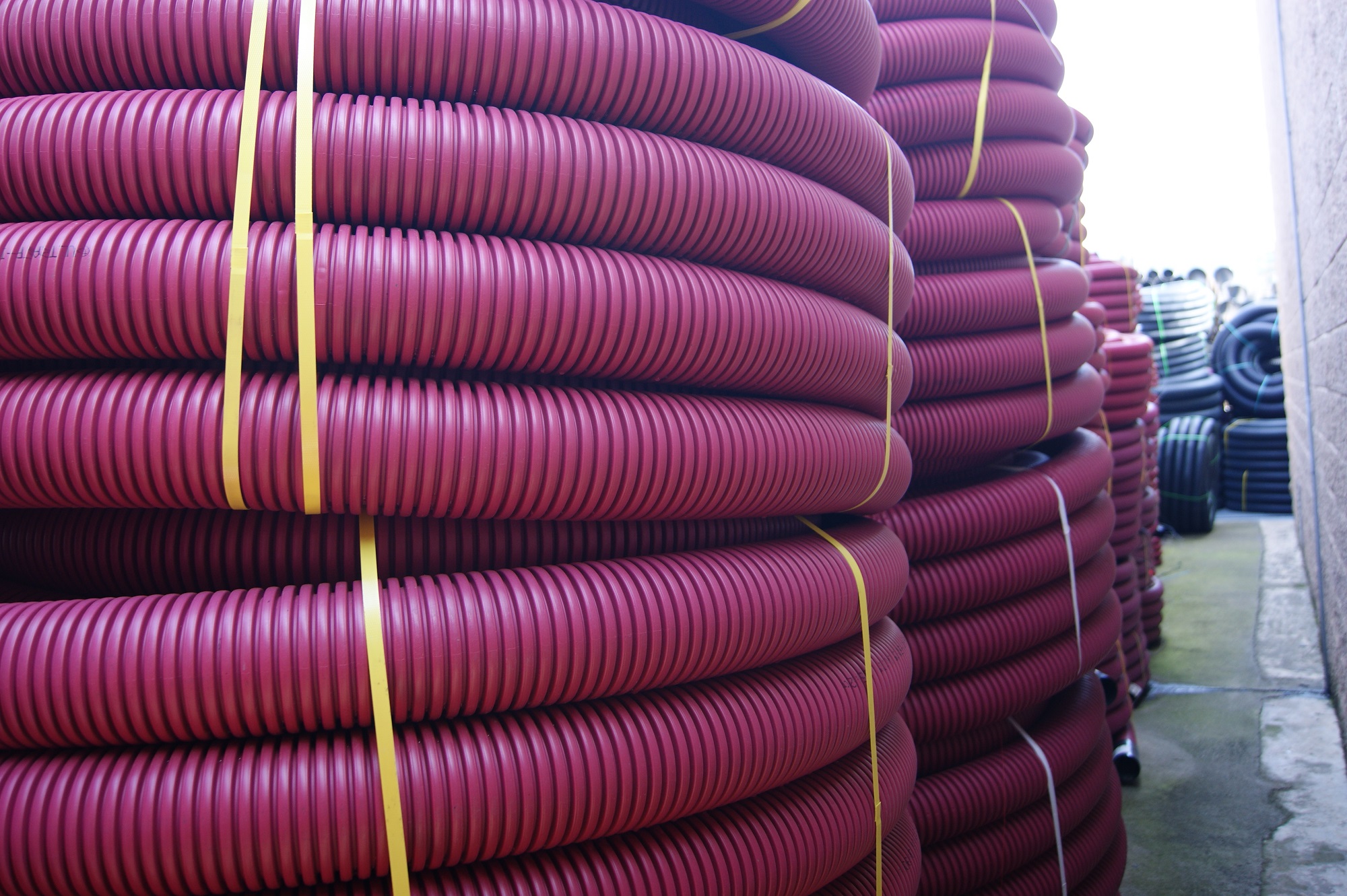 Joan Llongueras S.L. 5