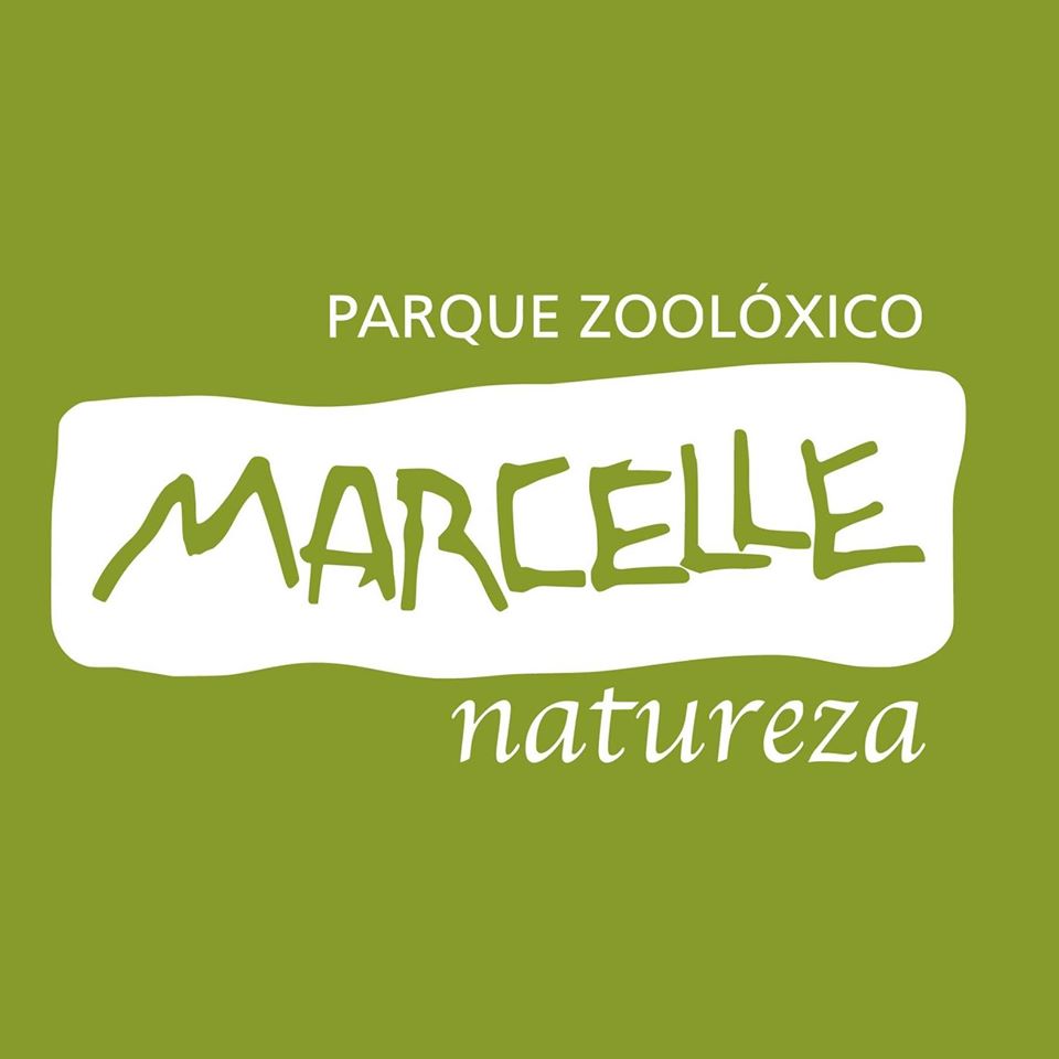 Marcelle Natureza