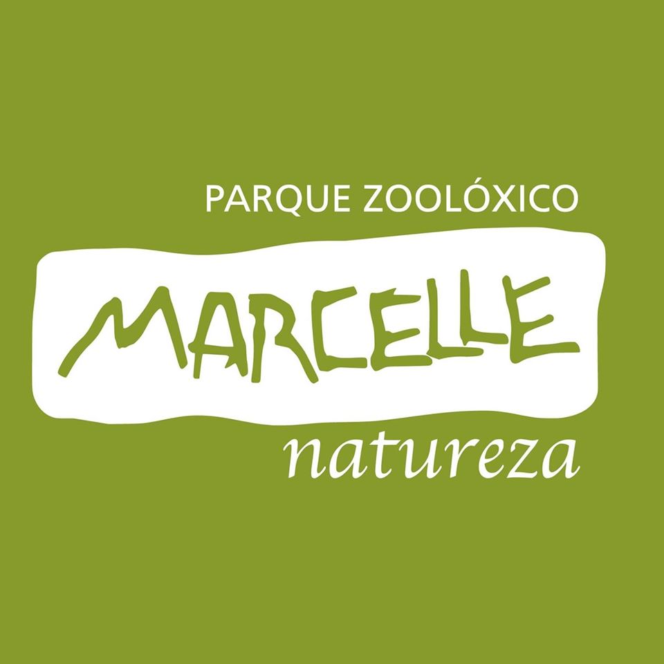 Marcelle Natureza