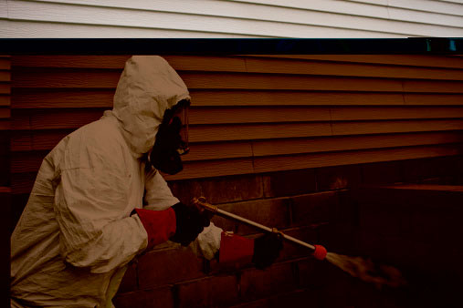 MONTSAN-AMBIENT SERVEI 2