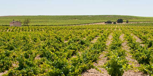 Bodega Solar De Mu&ntilde;osancho 3