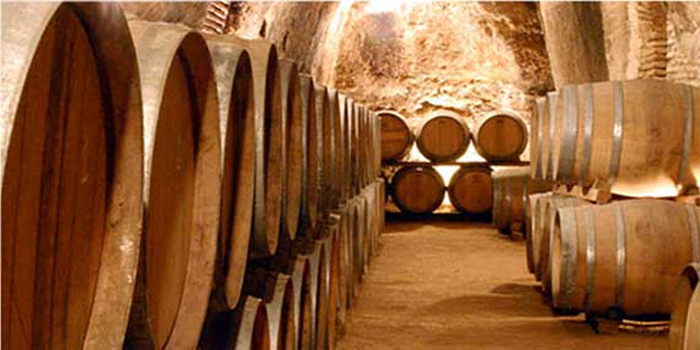 Bodega Solar De Mu&ntilde;osancho BODEGAS: PRODUCCION DE VINOS Y LICORES