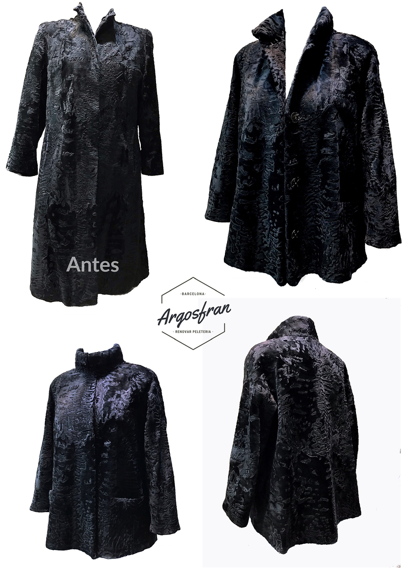 Argosfran Taller Arreglos Peletería 17