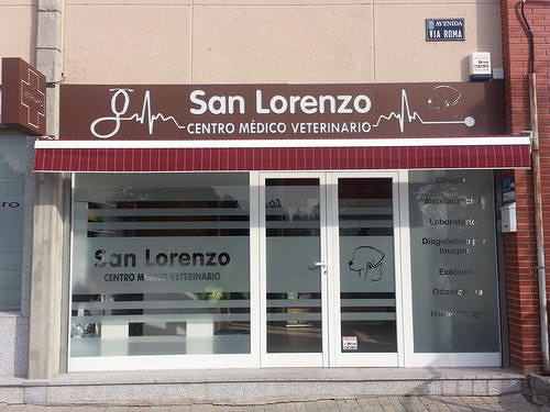 R&oacute;tulos Fic-plast 56