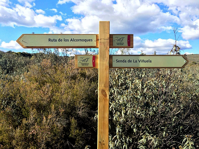 R&oacute;tulos Fic-plast 31