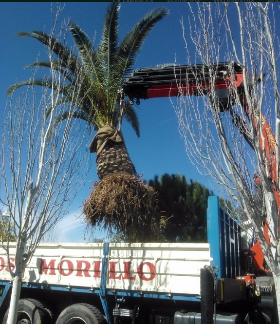 Excavaciones Hermanos Morillo 5