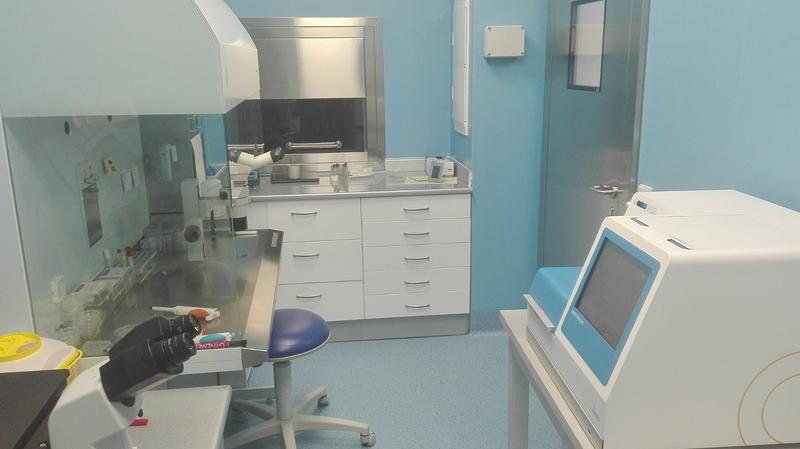 Clínica Mencía. Dra. Belén De La Torriente 8