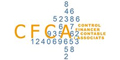 CFCA - Control Financiero Contable y Asociados S.L.