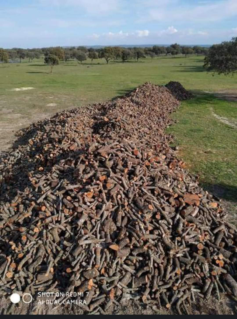 Servile&ntilde;a Alcalá de Henares