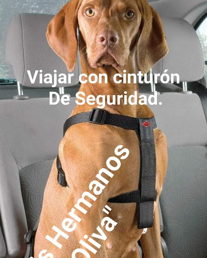 Juan Sebasti&aacute;n Oliva Jim&eacute;nez 31