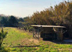 Centro De Rehabilitaci&oacute;n Visi&oacute;n 5