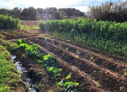 Centro De Rehabilitaci&oacute;n Visi&oacute;n 7