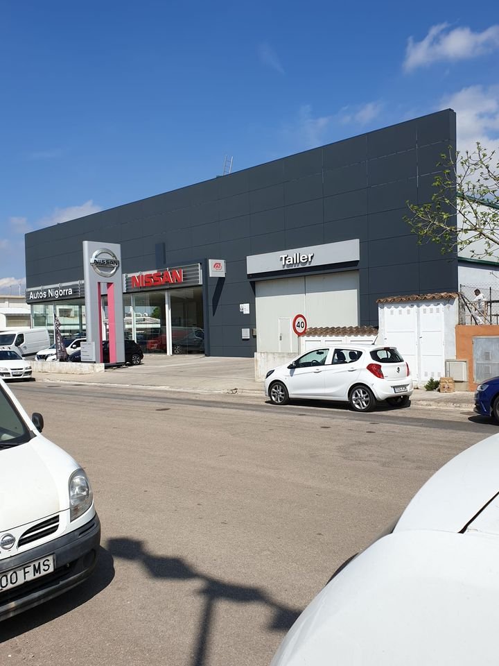 PINTURAS MILLENIUM 15