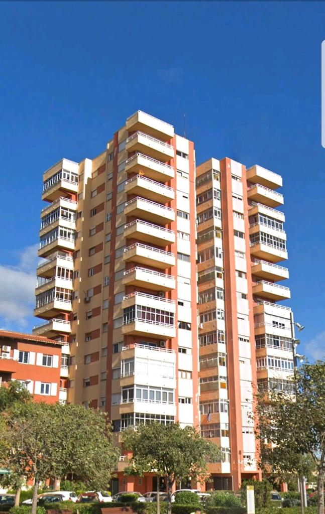 PINTURAS MILLENIUM 21