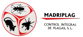 MadridPlag