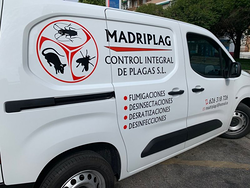 Galería de imágenes