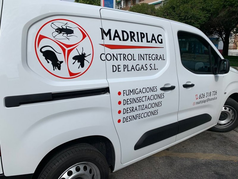 MadridPlag DESINFECCION, DESRATIZACION Y DESINSECTACION