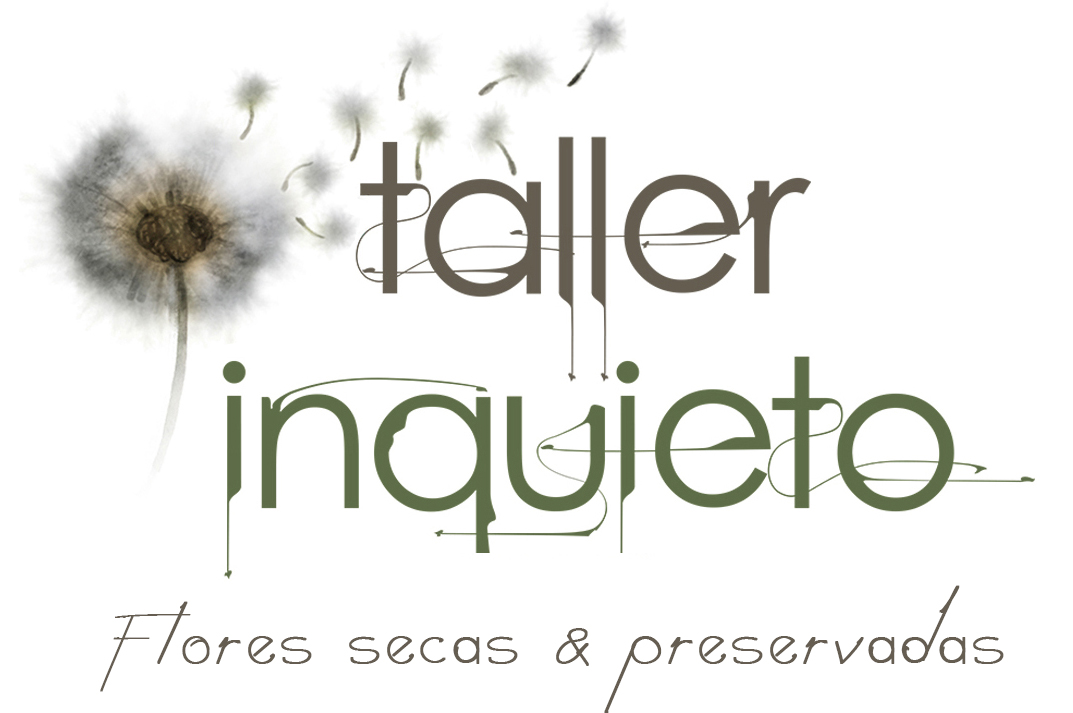 Taller Inquieto