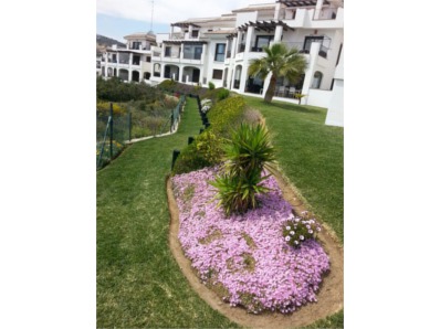 Aljadra Sur Algeciras