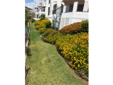 Aljadra Sur JARDINERIA: EMPRESAS DE SERVICIOS