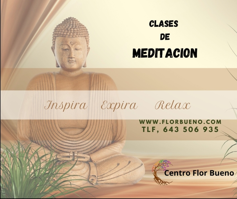 Centro Flor Bueno 16