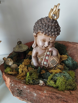 Galería de imágenes