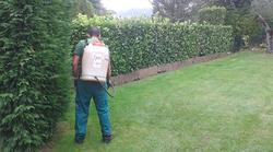 Jardinería Diego JARDINERIA: EMPRESAS DE SERVICIOS Jardinería Diego JARDINERIA: EMPRESAS DE SERVICIOS