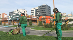 Jardinería Diego Piélagos Jardinería Diego Piélagos