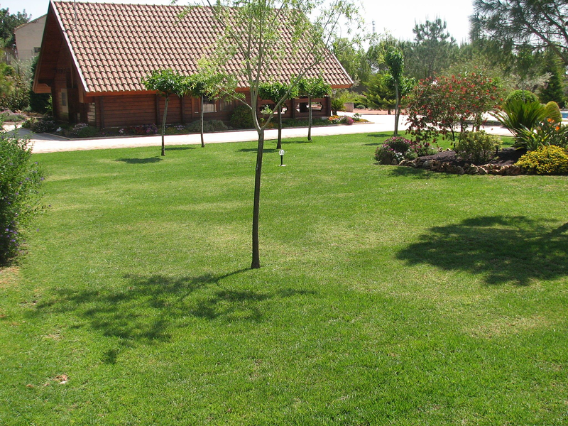 Jardinería Pozo Alacant/Alicante