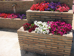 Galería de imágenes