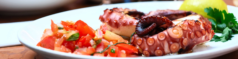 Restaurante El Capit&aacute;n RESTAURANTES