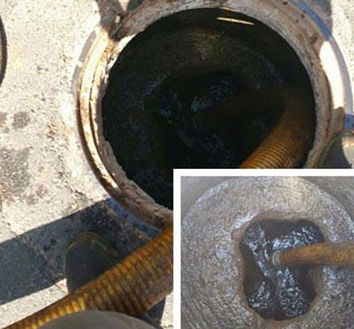 Ecología Canaria Santa Lucía S.L. 2