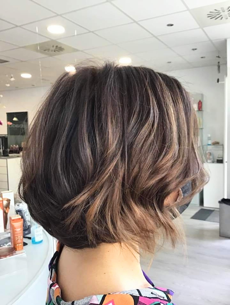 Cebado Zaragoza Actur PELUQUERIAS UNISEX