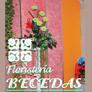 Becedas Floristería