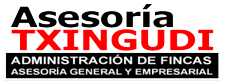 Asesoria Txingudi
