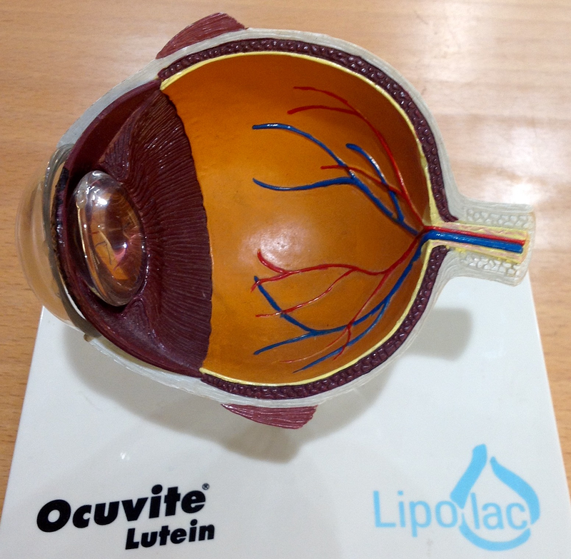 &Oacute;ptica Eider Baja Visi&oacute;n 8