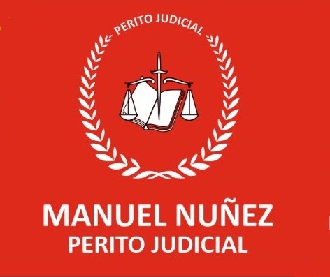 Peritos Judiciales Informáticos