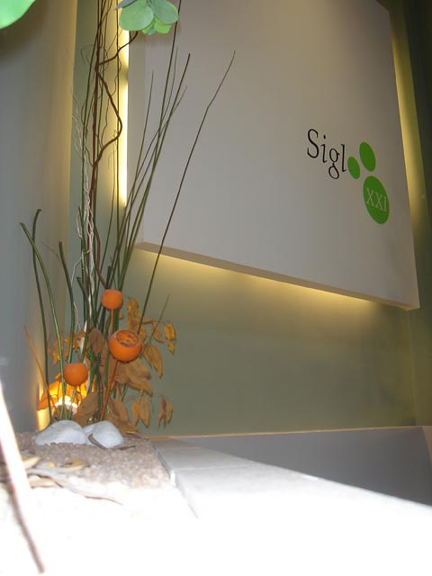 Cl&iacute;nica Siglo XXI 16