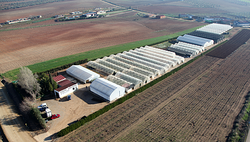 Galería de imágenes