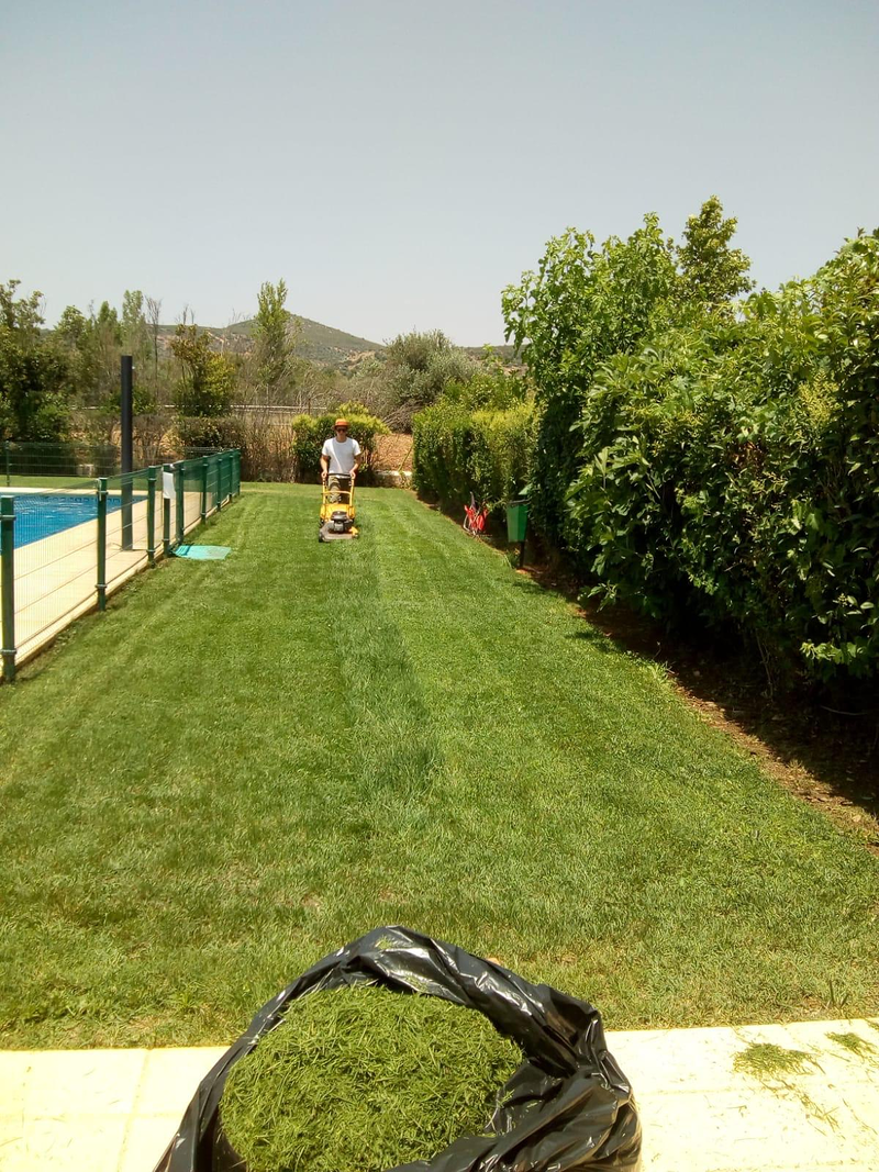 Hispacol Servicios Integrales 15