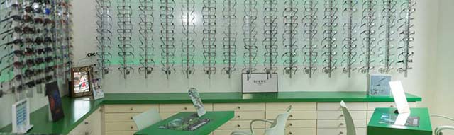 &Oacute;ptica Goyo 6