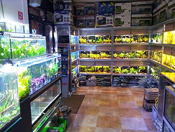 Galería de imágenes